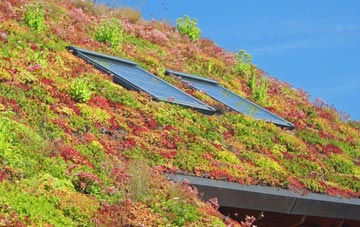 Hittisleigh Barton living roof systems