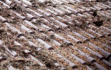 Hittisleigh Barton roof cleaning companies