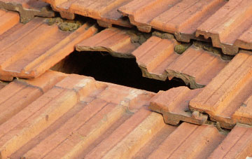 roof repair Hittisleigh Barton, Devon